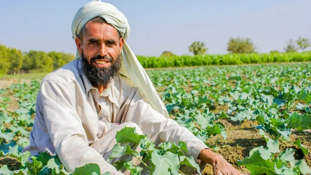 Urban Agriculture Support - Ground Seed Distribution